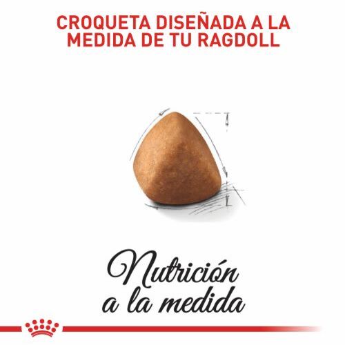 Royal Canin Ragdoll Adult 3 Empaque Royal Canin Ragdoll Adult de 2 kg