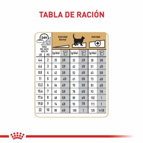 Royal Canin Ragdoll Adult 4 Empaque Royal Canin Ragdoll Adult de 2 kg