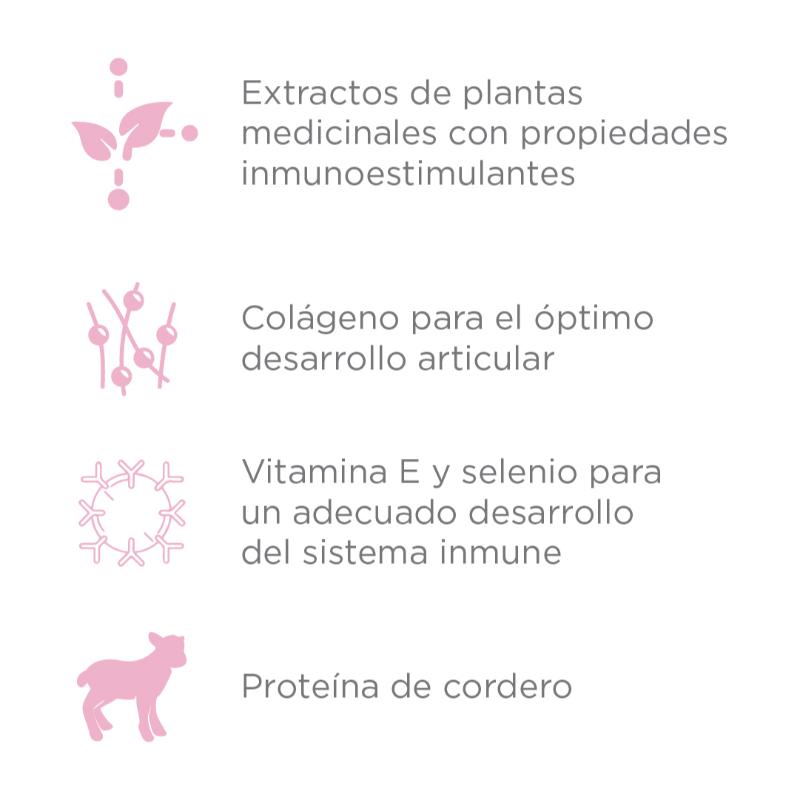 Nupec Cachorro Razas Mini 2 Empaque Nupec Cachorro Razas Mini de 1 kg