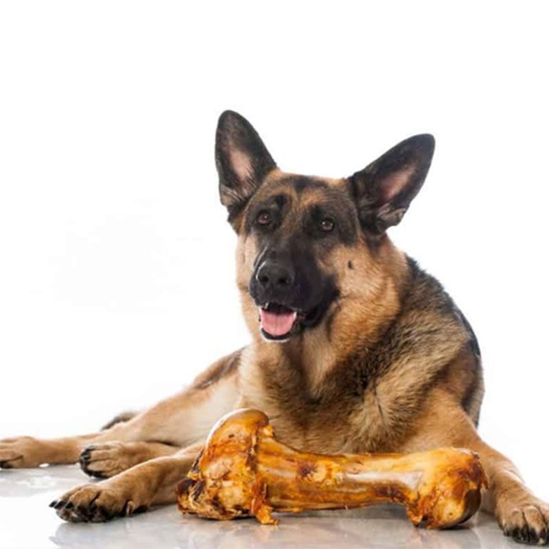 MyPet Fémur de Res deshidratado 4 Empaque MyPet Fémur de Res deshidratado de unidad