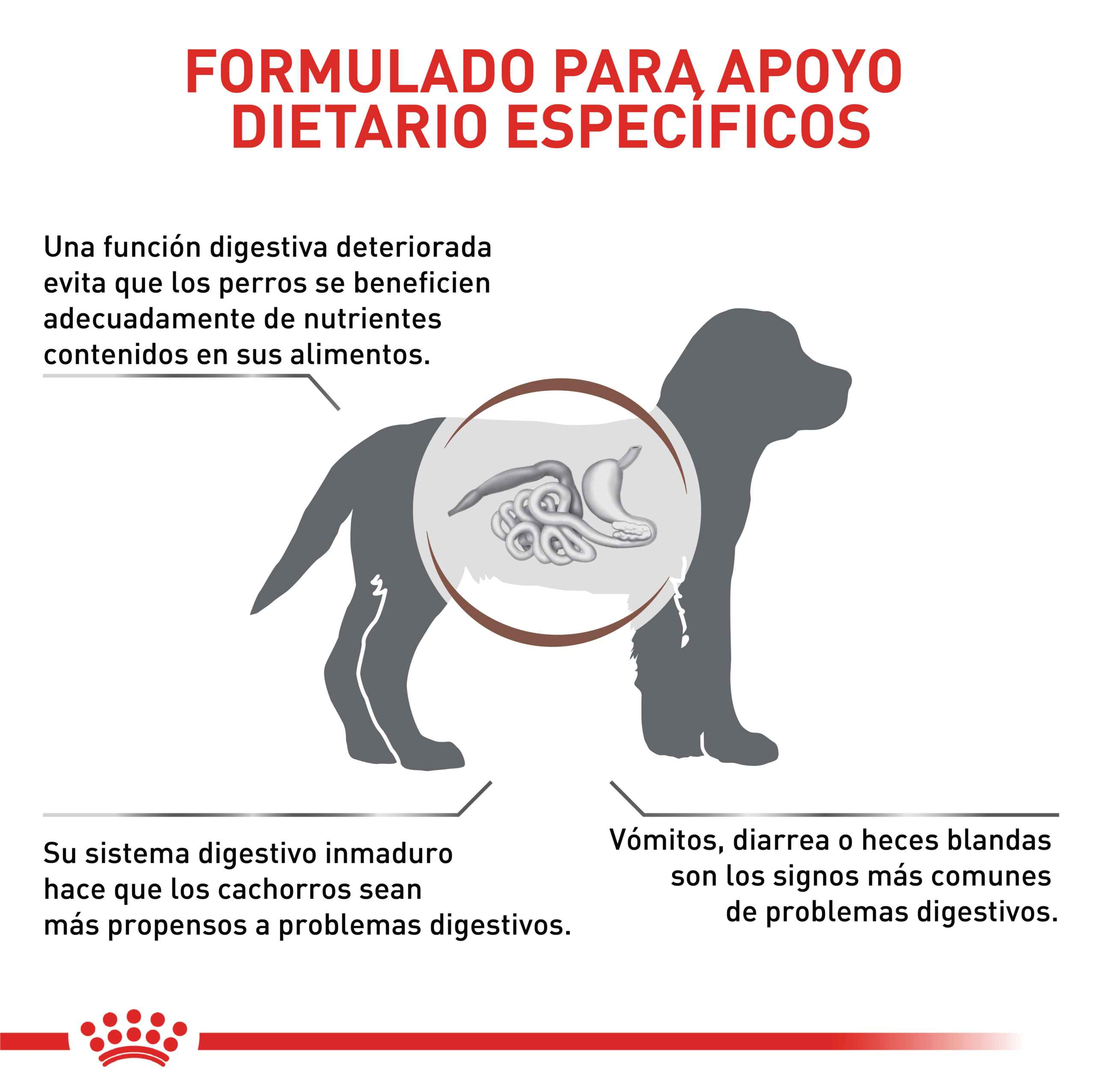 Royal Canin VHN Gastrointestinal Puppy / Junior 3 Empaque Royal Canin VHN Gastrointestinal Puppy / Junior de 2.5 kg