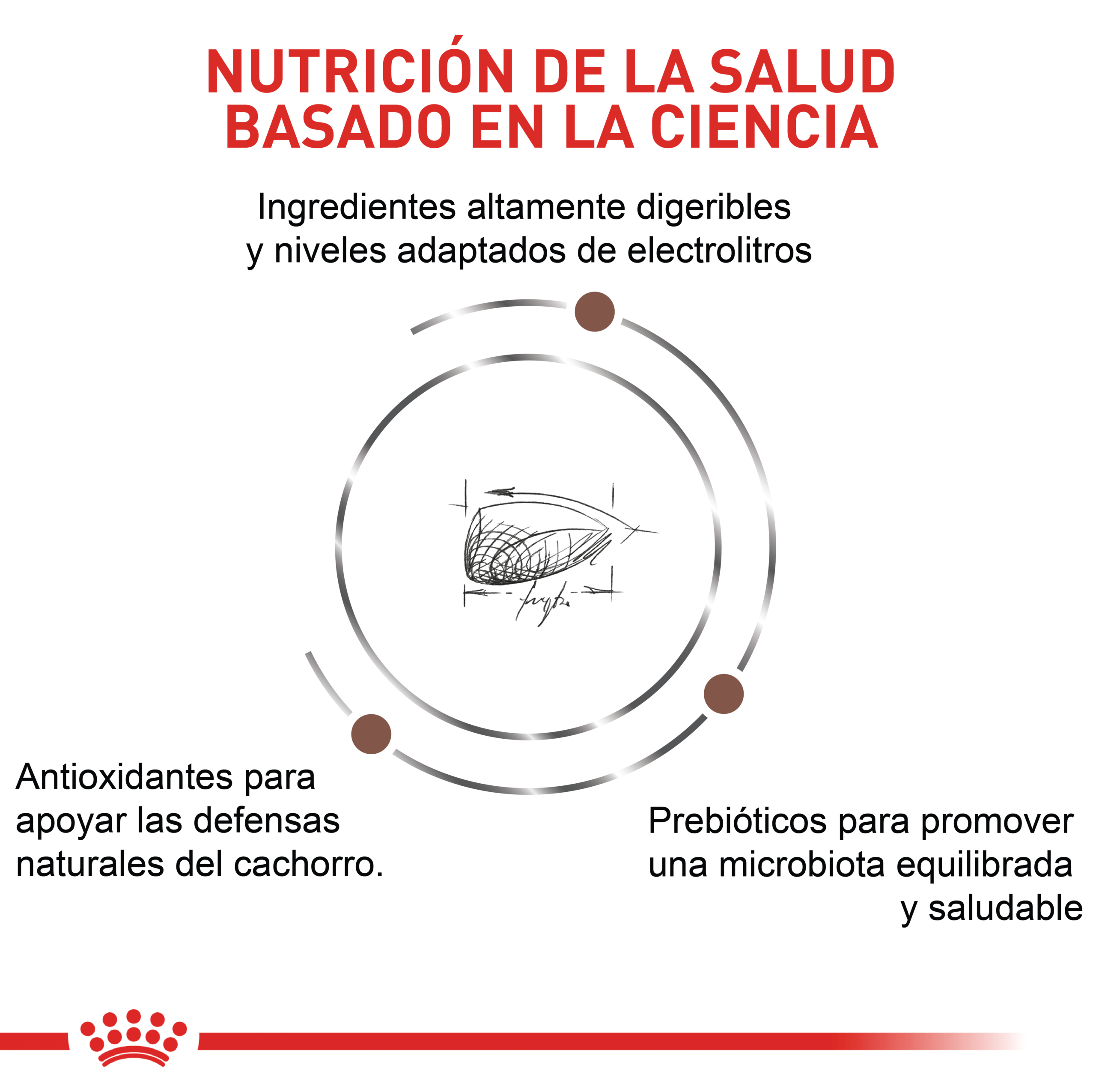 Royal Canin VHN Gastrointestinal Puppy / Junior 4 Empaque Royal Canin VHN Gastrointestinal Puppy / Junior de 2.5 kg