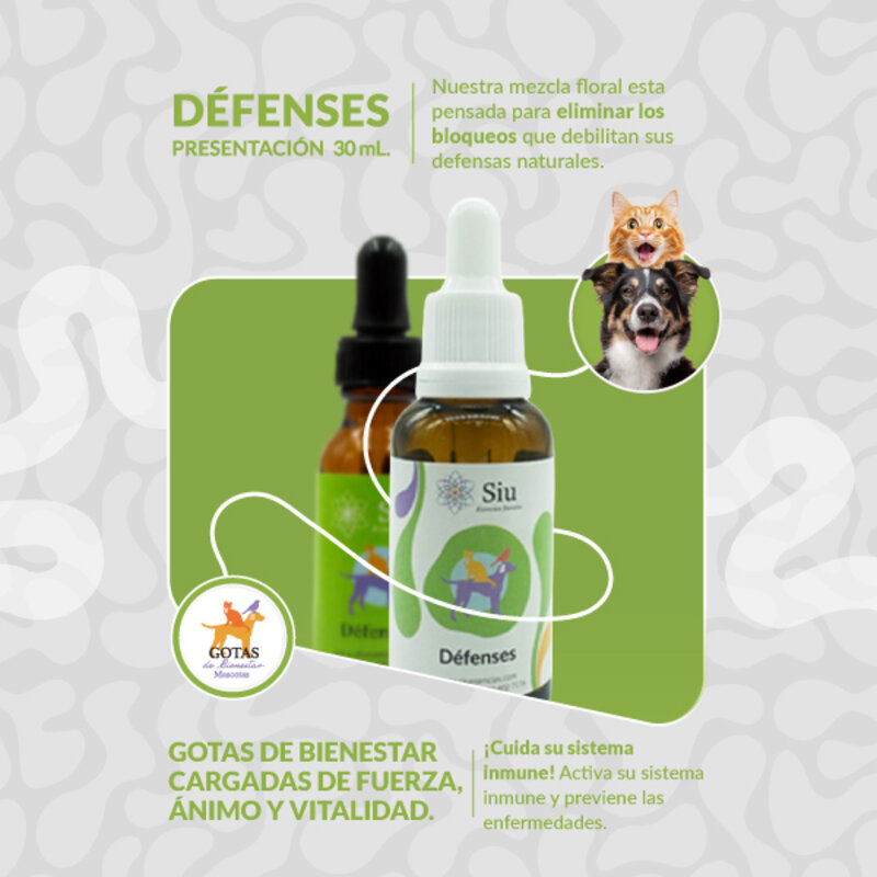Siu Esencia Floral Defenses Inmunidad (Gotero 20 ml) 2 Empaque Siu Esencia Floral Defenses Inmunidad (Gotero 20 ml) de gotero 20 mililitro