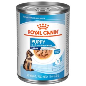 Alimento Royal Canin Size Health Nutrition Large Puppy Lata 370 g para perros