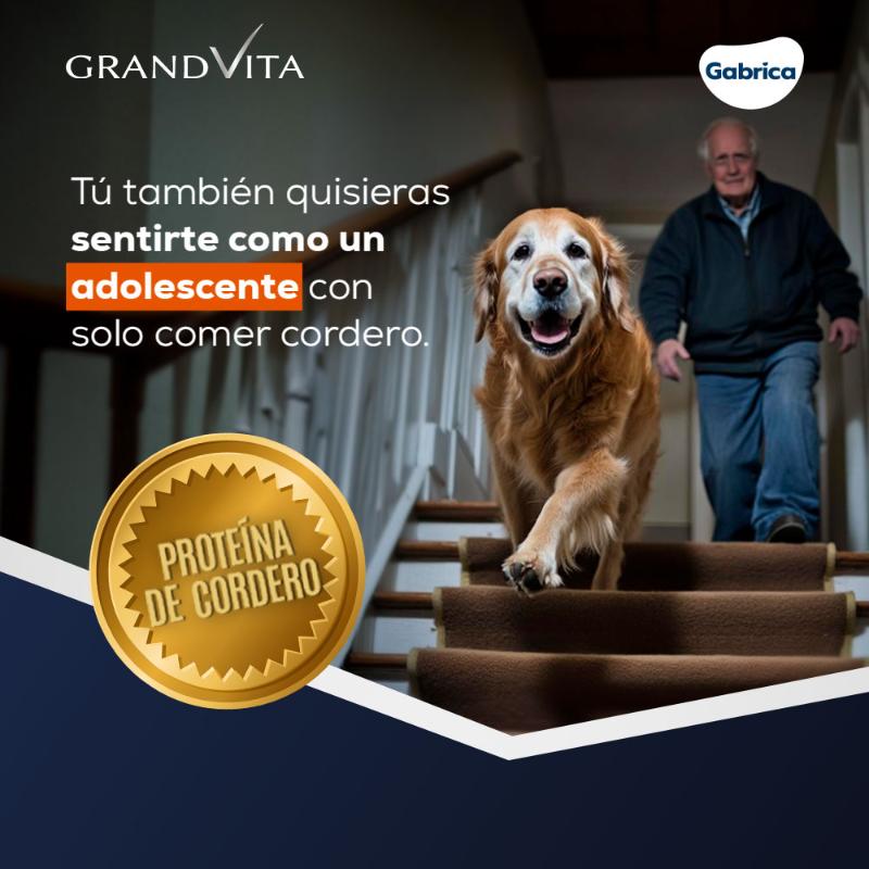 Grand Vita Adulto Mayor Cordero +7 3 Empaque Grand Vita Adulto Mayor Cordero +7 de 3 kg
