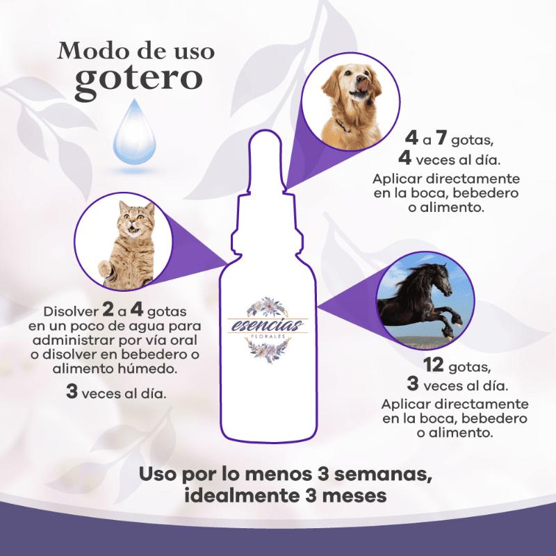 Esencias Gabrica Esencia Floral Estrés (Gotero 30 ml) 2 Empaque Esencias Gabrica Esencia Floral Estrés (Gotero 30 ml) de gotero 30 ml mililitro