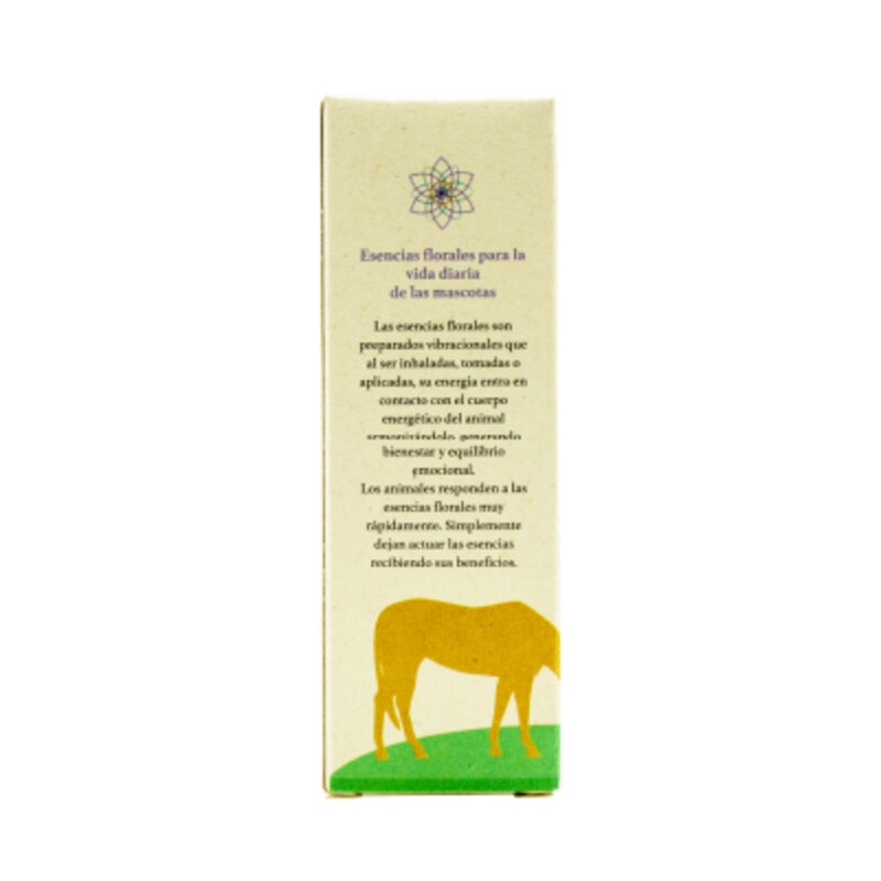 Siu Esencia Floral Urgencia Rescate y Trauma (Gotero 20 ml) 3 Empaque Siu Esencia Floral Urgencia Rescate y Trauma (Gotero 20 ml) de gotero 20 mililitro