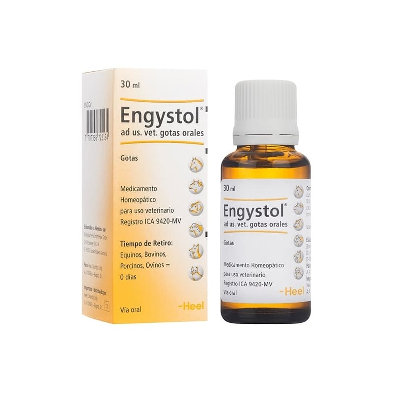 Heel Engystol Gotas Inmunomodulador y Antiviral Homeopático (30 ml) 1 Heel Engystol Gotas Inmunomodulador y Antiviral Homeopático (30 ml) para perros