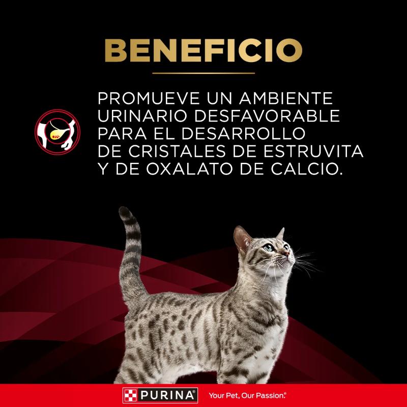 Pro Plan Veterinary Diets DM Diabetes Management 3 Empaque Pro Plan Veterinary Diets DM Diabetes Management de 2.7 kg