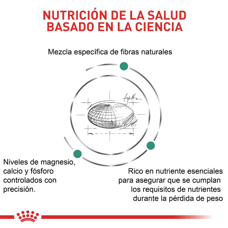 Royal Canin VHN Satiety Weight Management Small Dogs 3 Empaque Royal Canin VHN Satiety Weight Management Small Dogs de 1.5 kg