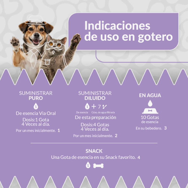 Siu Esencia Floral Defenses Inmunidad (Gotero 20 ml) 4 Empaque Siu Esencia Floral Defenses Inmunidad (Gotero 20 ml) de gotero 20 mililitro