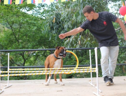 Canispedia