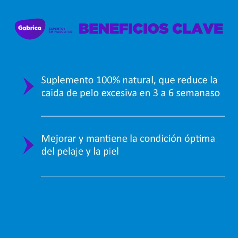 Shed-X Dermaplex Suplemento para Control de Caída de Pelo (8 oz) 3 Empaque Shed-X Dermaplex Suplemento para Control de Caída de Pelo (8 oz) de 8 oz