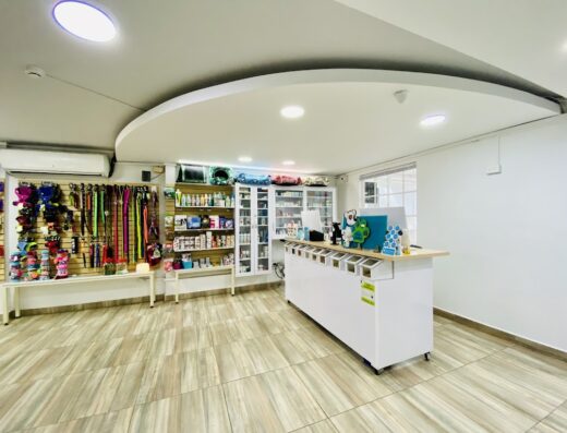 Centro Veterinario Bepet – Manejo del dolor en perros y gatos