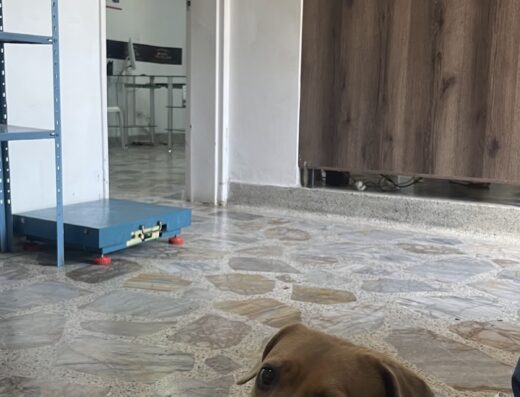 Centro Veterinario Laureles