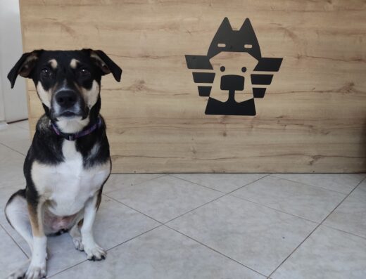 Centro Veterinario Tribu Animal
