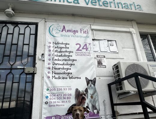 Clínica Veterinaria Amigo FIel