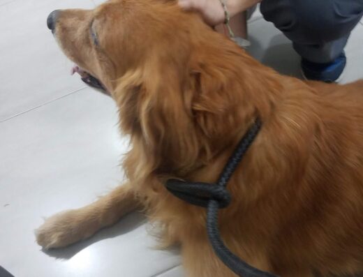 Clínica Veterinaria Aquavet