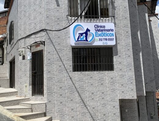 Clínica Veterinaria Exóticos