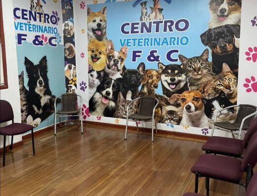 Clinica Veterinaria F&C