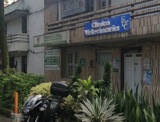 Clinica Veterinaria F&C
