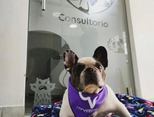 Clínica Veterinaria Los Rosales 24h