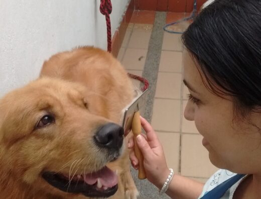 Clinica Veterinaria Sana vet