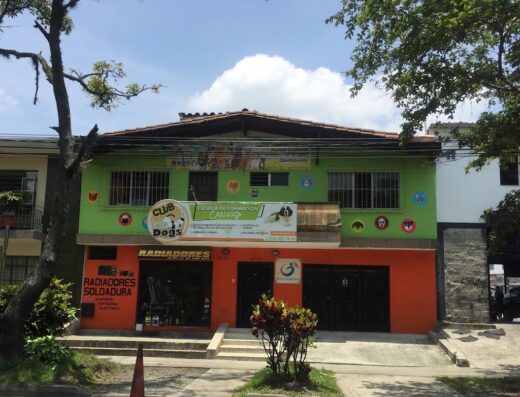 Club Family Dogs / El Profe De Los Perros