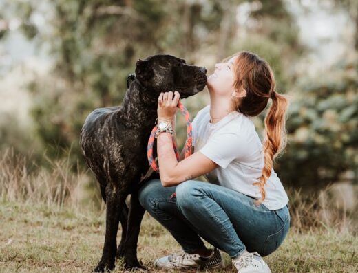 Colina Canine Center