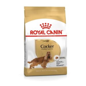 Alimento Royal Canin Cocker Adult para perros