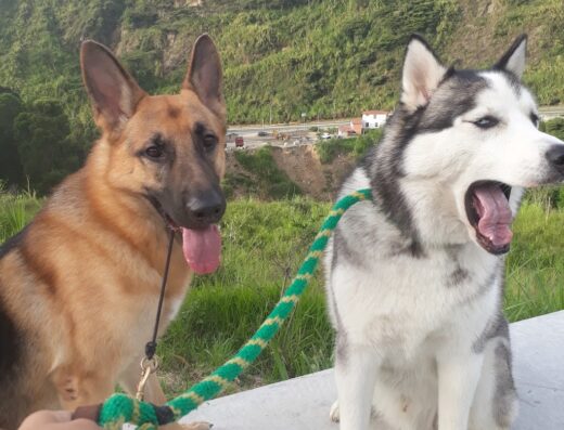 Edwar.canino