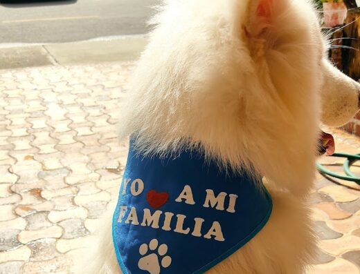 Edwar.canino