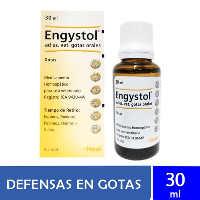 Heel Engystol Gotas Inmunomodulador y Antiviral Homeopático (30 ml) 2 Empaque Heel Engystol Gotas Inmunomodulador y Antiviral Homeopático (30 ml) de 30 mililitro
