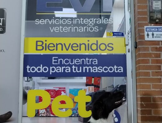 EVI – Clínica Veterinaria – El Poblado