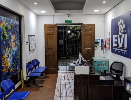 EVI – Clínica Veterinaria – El Poblado
