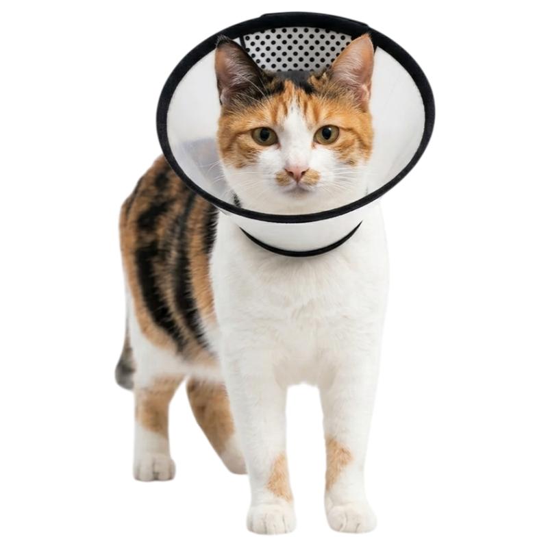 Collar Isabelino Ajustable Transparente Paw Day 3 Empaque Collar Isabelino Ajustable Transparente Paw Day de xs