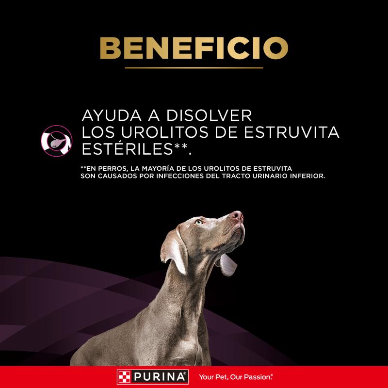 Pro Plan Veterinary Diets UR Urinary OxSt/St 4 Empaque Pro Plan Veterinary Diets UR Urinary OxSt/St de 2 kg