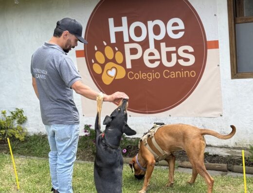 HOPE PETS COLEGIO CANINO