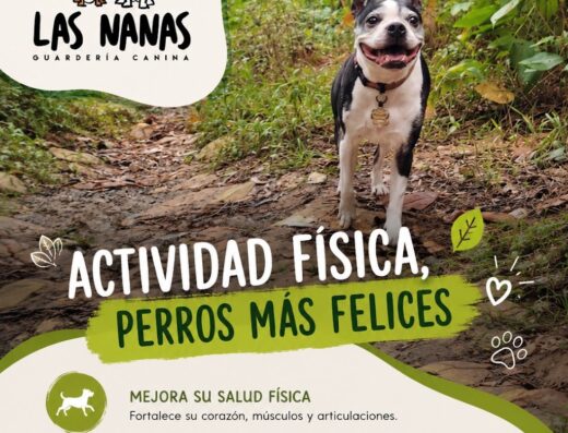 Las Nanas Guarderia Canina