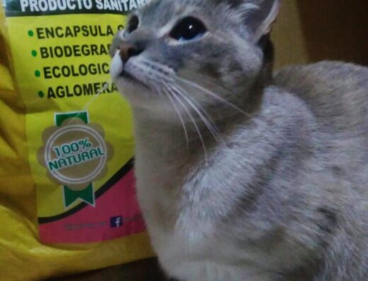 MASCOTODO Tienda de mascotas la Milagrosa