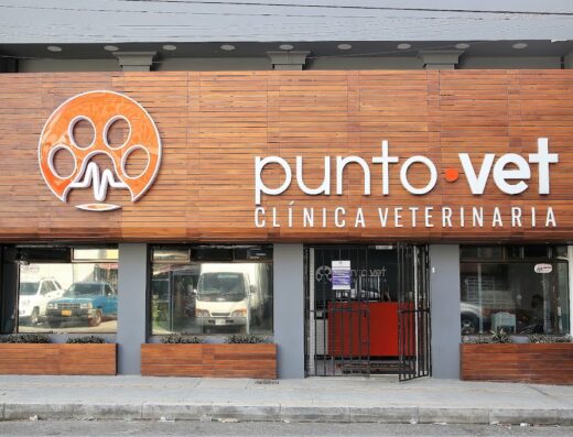 Punto Vet Clínica veterinaria