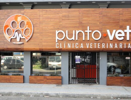Punto Vet Clínica veterinaria