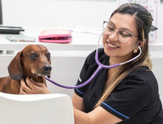 Punto Vet Clínica veterinaria