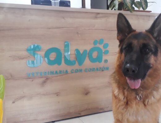 Salva Veterinaria