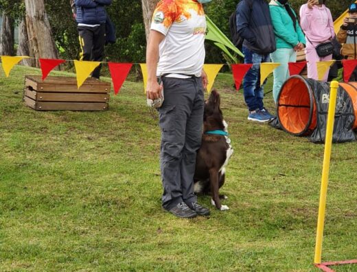 Sociedad Canina