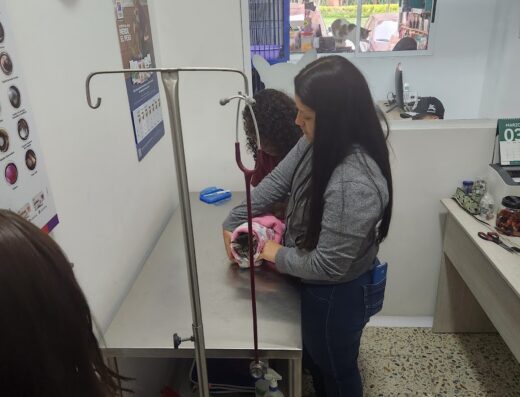 Vetsite | Clínica Veterinaria