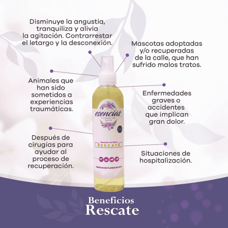 Esencia Floral Rescate Spray 250 ml 3 Esencia Floral Rescate spray 250 ml — imagen 3