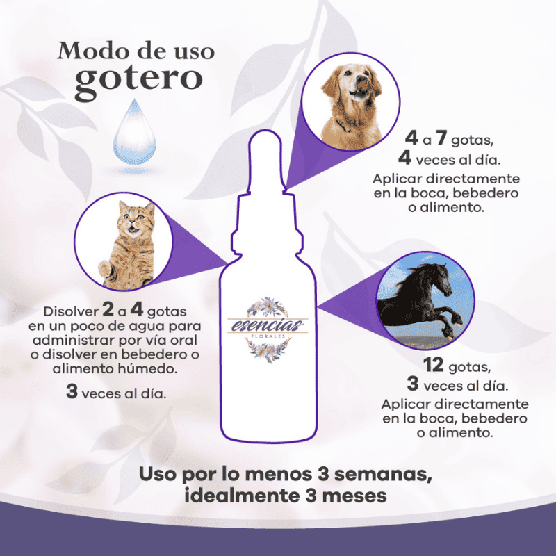 Esencia Floral Miedo Gotas 30 ml 2 Esencia Floral Miedo gotas 30 ml — imagen 2