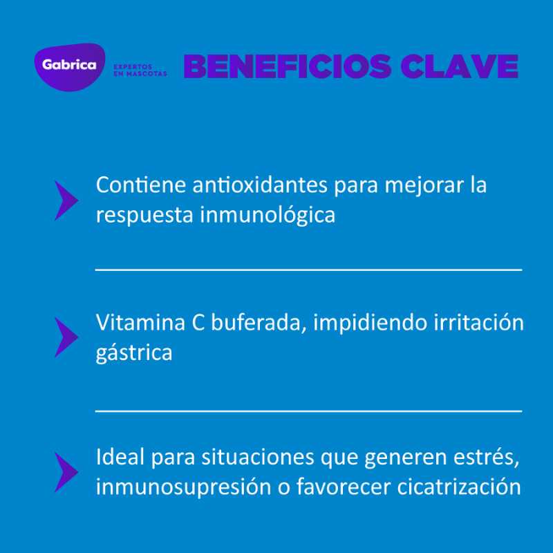 Vetnil Vita-Vet C Vitamina C Oral 30 ml 2 Vetnil Vita-Vet C vitamina C oral 30 ml — imagen 2