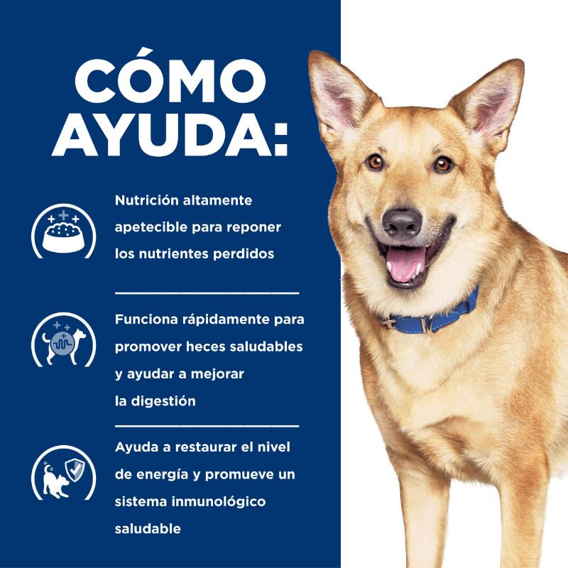 Hill's Prescription Diet i/d Cuidado Digestivo Perro Pavo (Lata) 6 Hill's Prescription Diet i/d Cuidado Digestivo Perro Pavo lata 13 oz